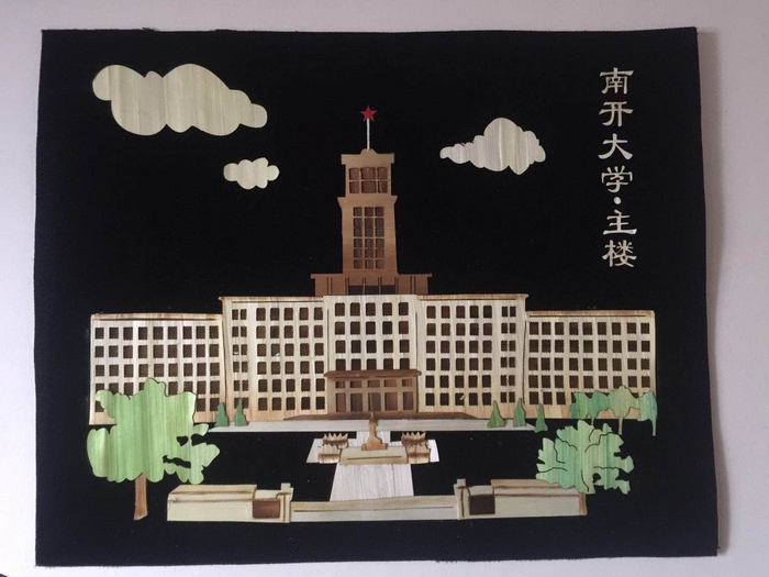 南开大学1500付定制05(图1)