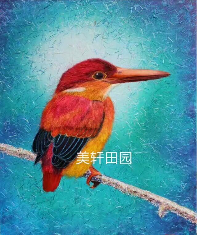  极品彩色小鸟5(图1)